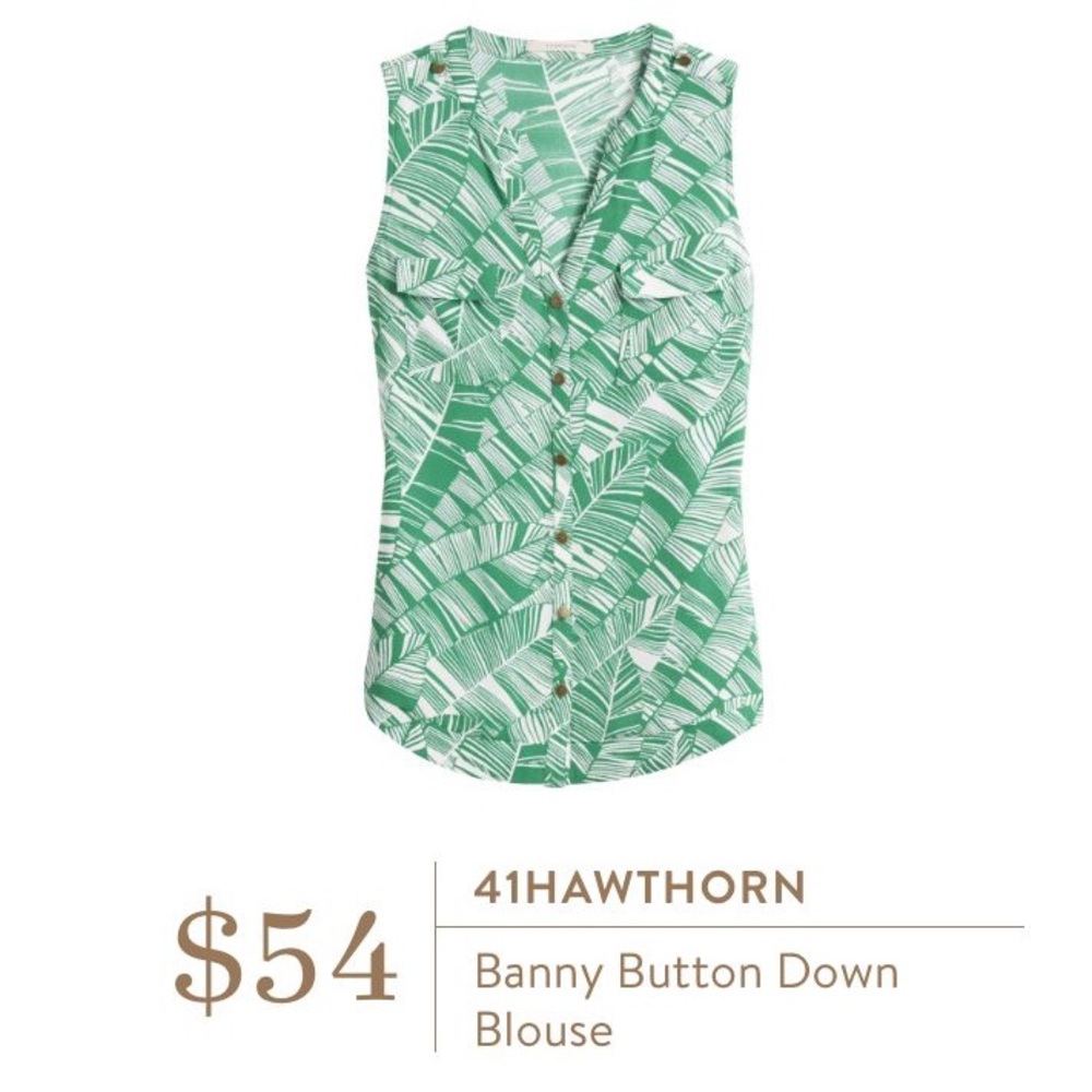 41 Hawthorn Banny Buttondown Blouse! 💚